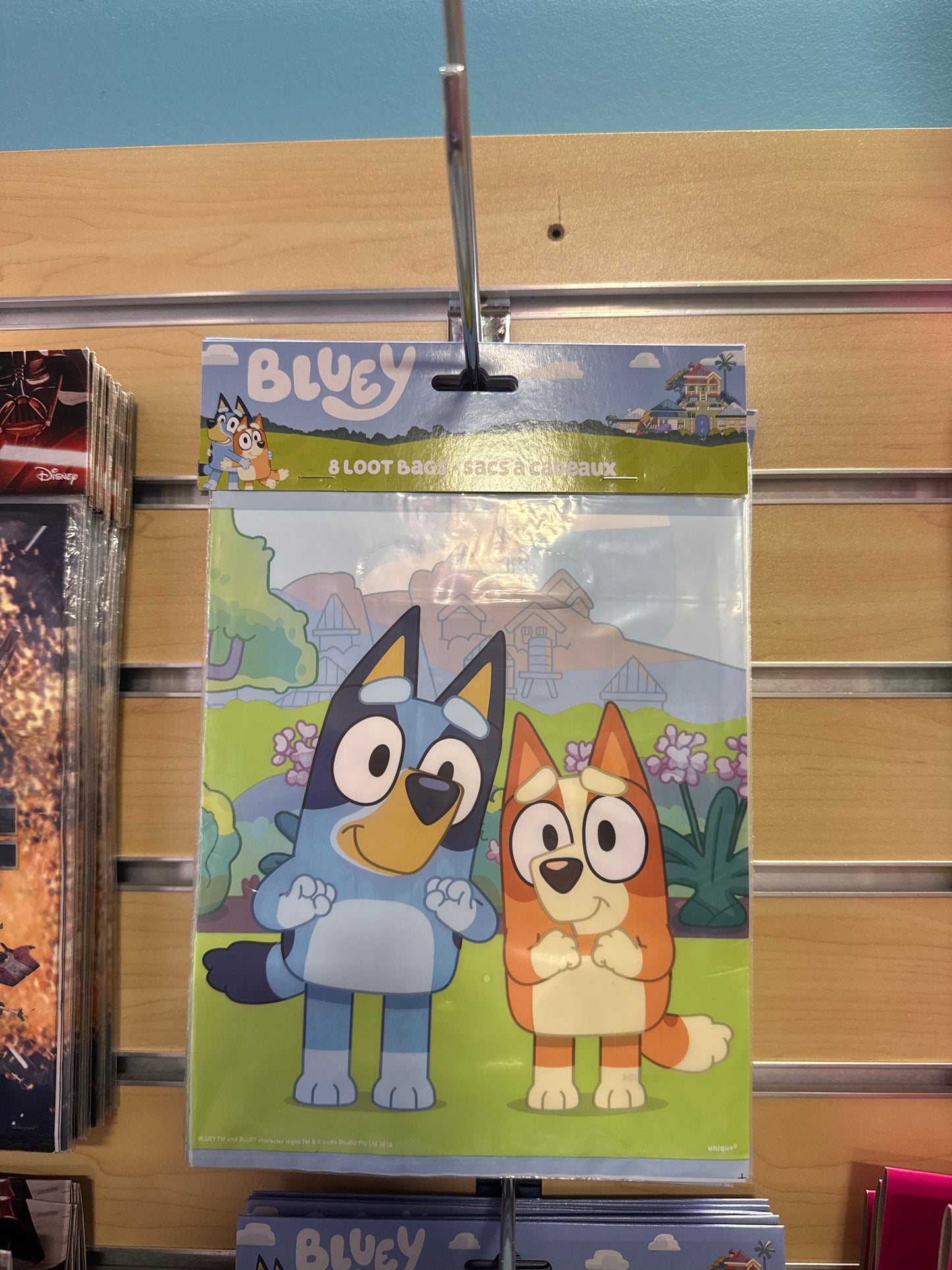 Bluey Loot Bags